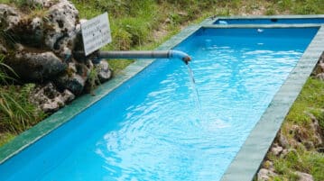 Adopter une piscine naturelle pour son jardin