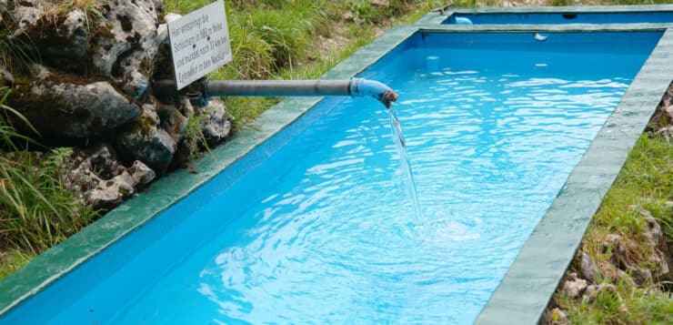 Adopter une piscine naturelle pour son jardin